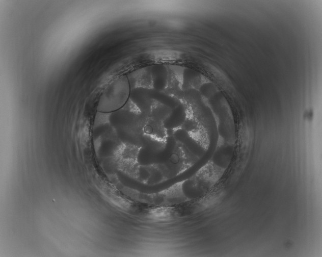 X0000111050761200907091633