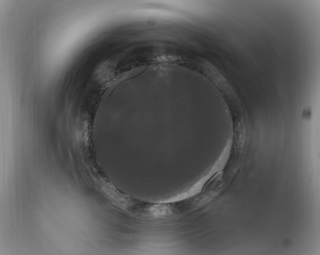 X0000111050762200907091633