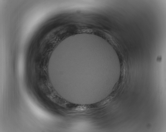 X0000111050764200907091633