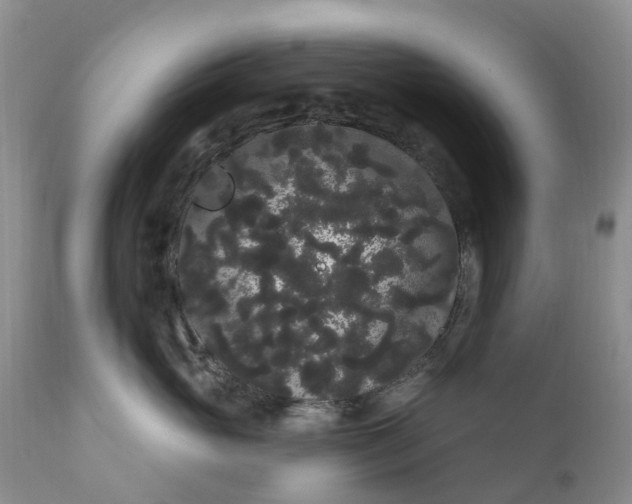 X0000111050765200907091633