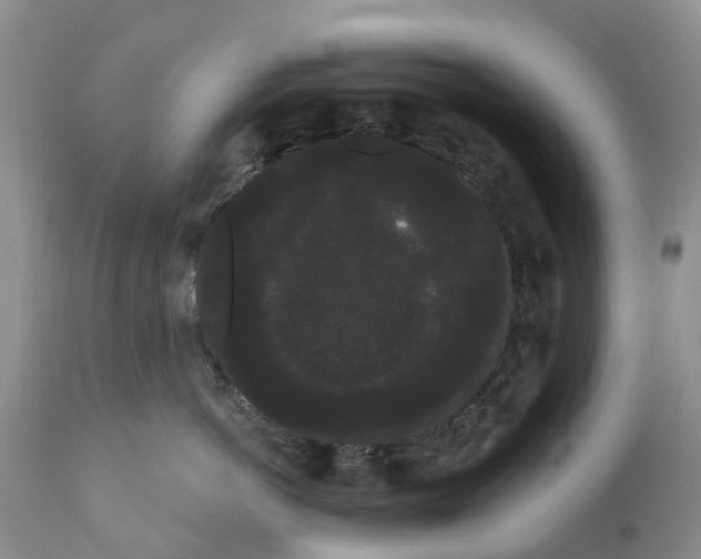 X0000111050766200907091633