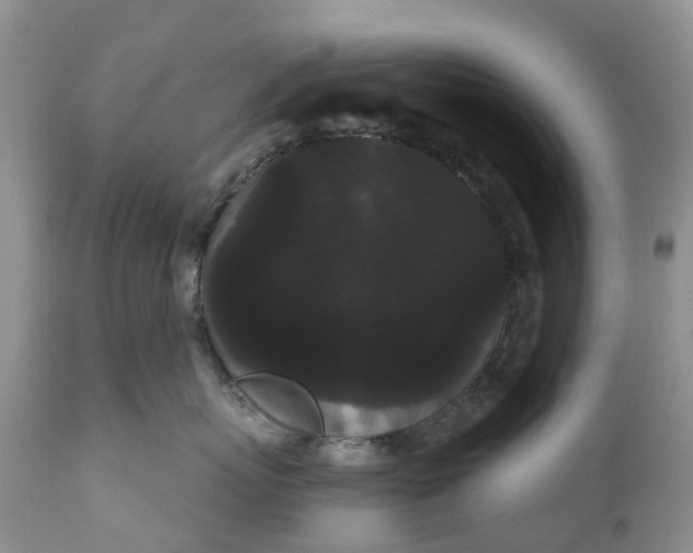 X0000111050767200907091633