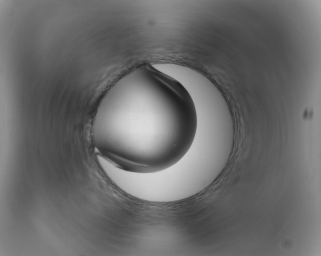 X0000111050768200907091633