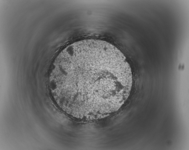 X0000111050769200907091633