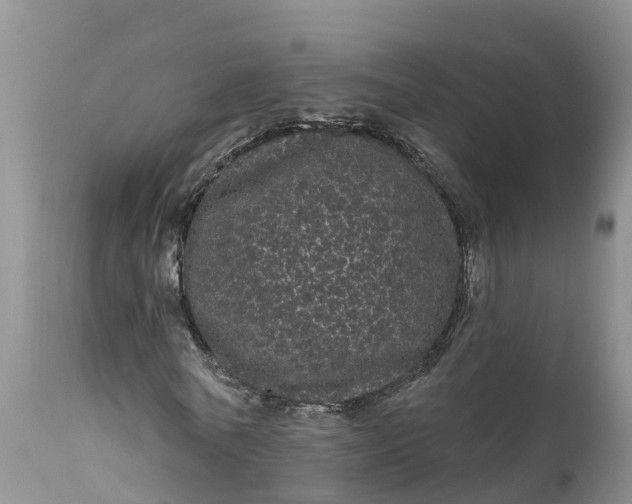 X0000111050770200907091633