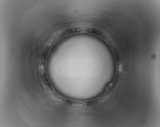 X0000111050771200907091633