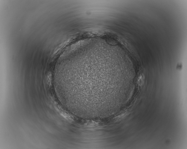 X0000111050772200907091633