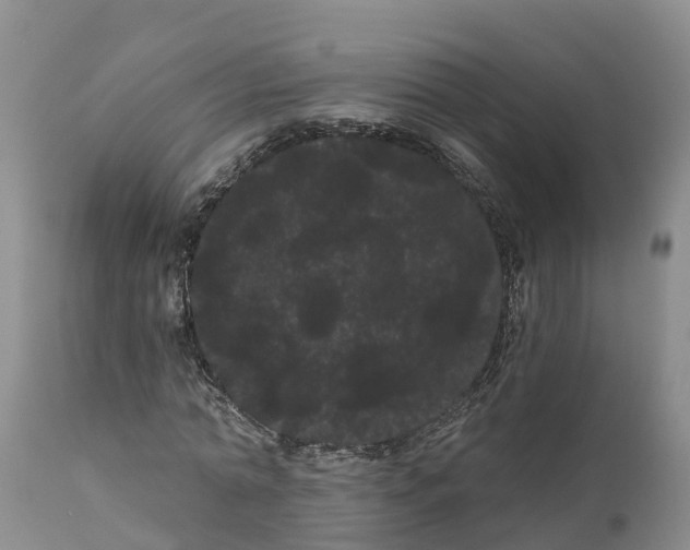 X0000111050774200907091632