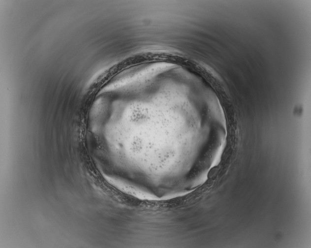 X0000111050775200907091632