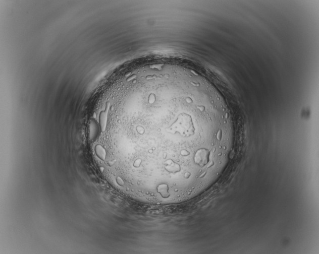 X0000111050776200907091632