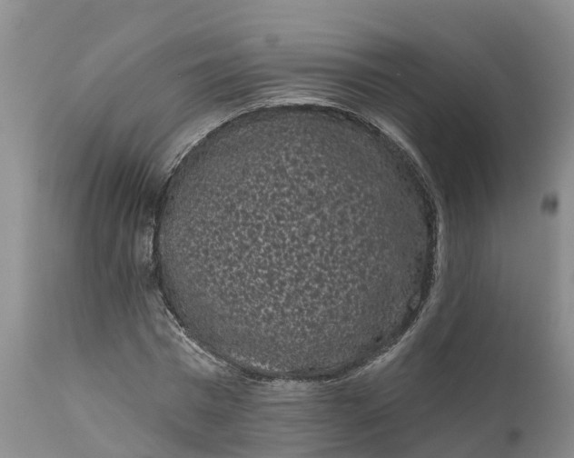 X0000111050777200907091632