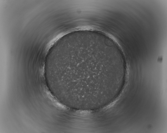 X0000111050778200907091632