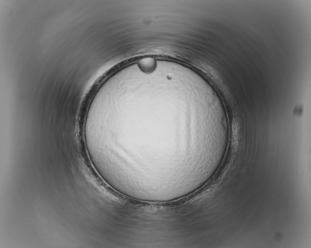 X0000111050780200907091632