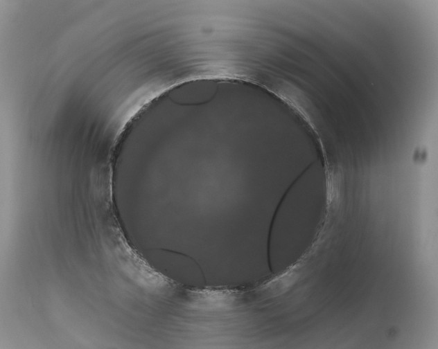 X0000111050781200907091632