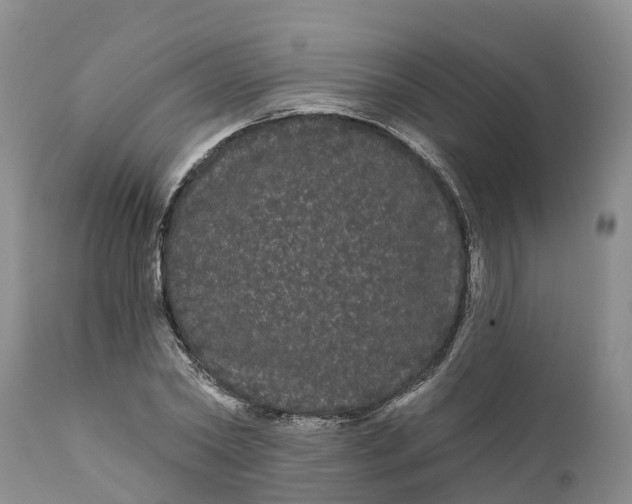 X0000111050782200907091632