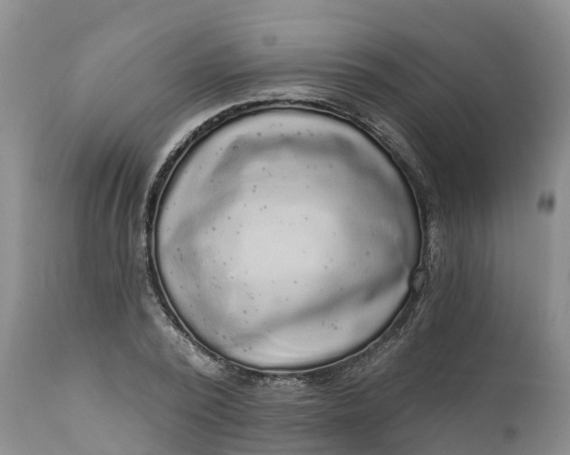 X0000111050784200907091632