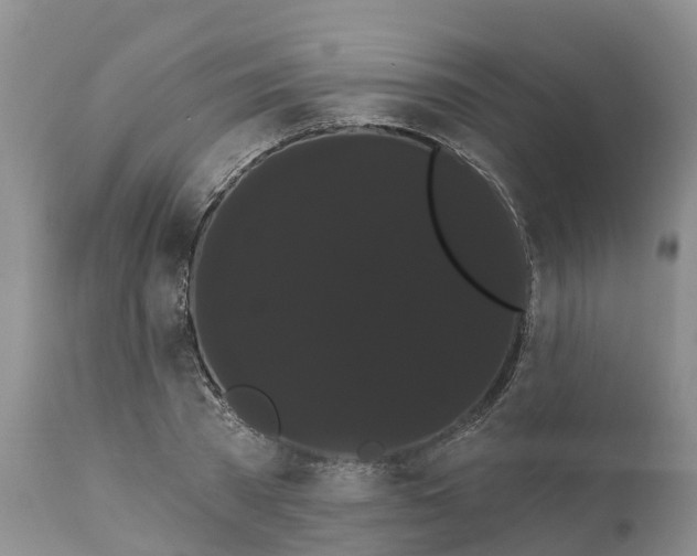 X0000111050785200907091632