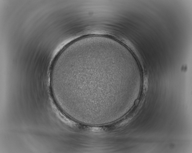 X0000111050787200907091632