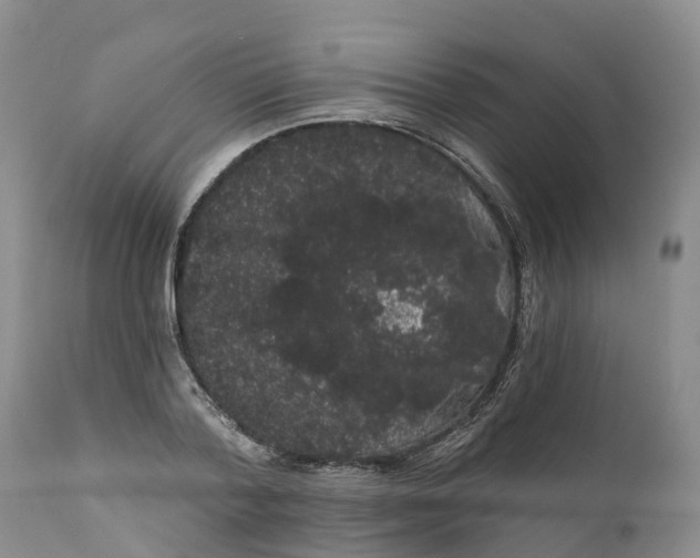 X0000111050788200907091632