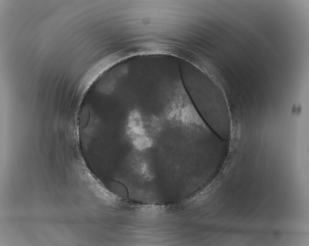 X0000111050789200907091632