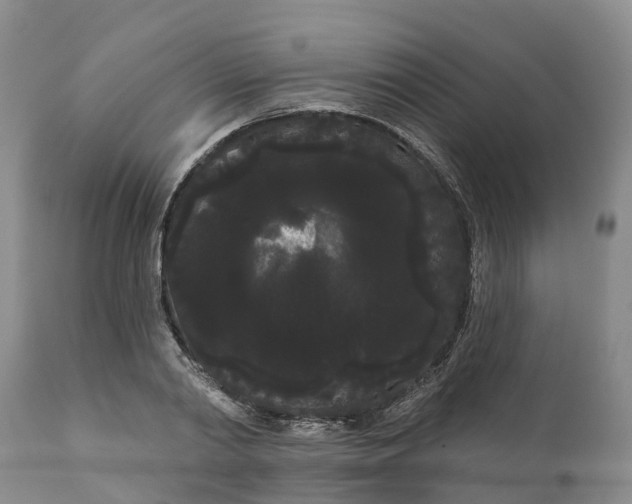 X0000111050790200907091632