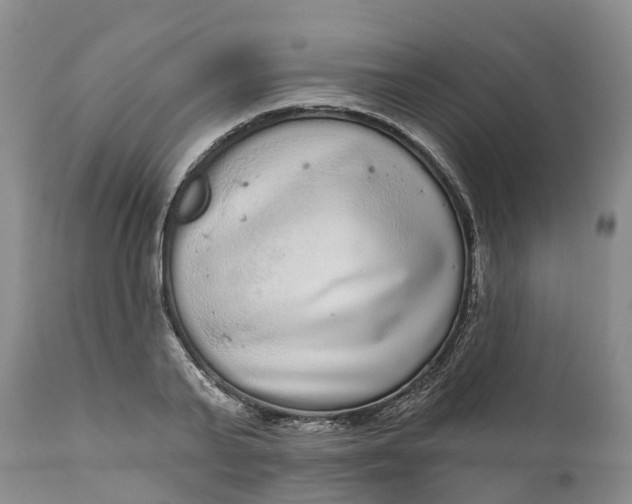 X0000111050791200907091632