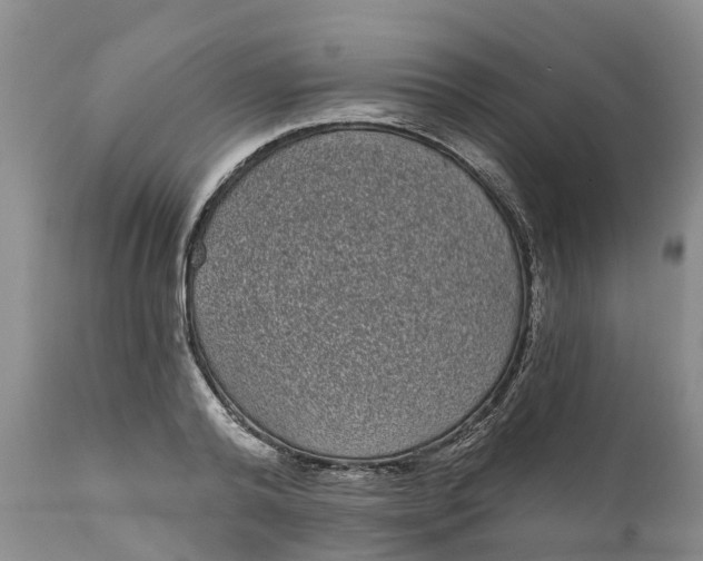 X0000111050792200907091632