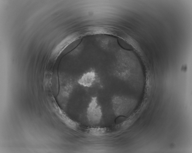 X0000111050793200907091632