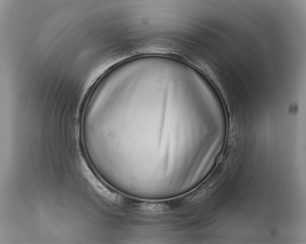 X0000111050795200907091632