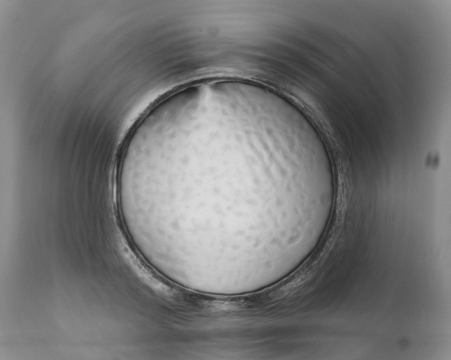 X0000111050796200907091632