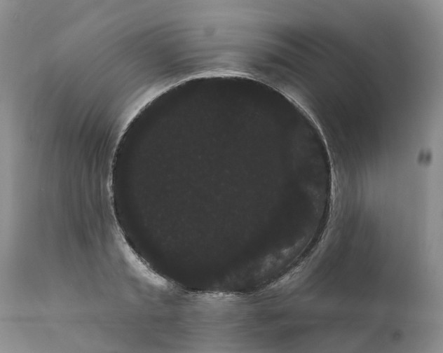 X0000111050797200907091632