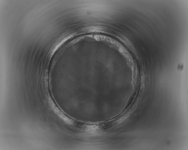 X0000111050798200907091632