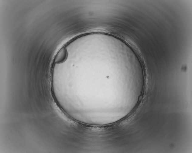 X0000111050800200907091632