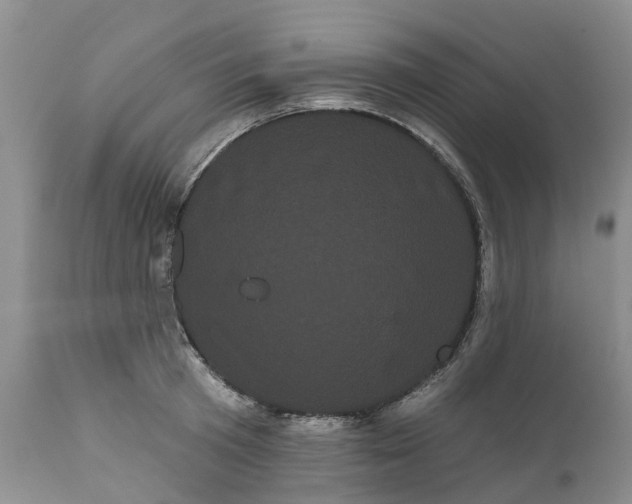 X0000111050801200907091632