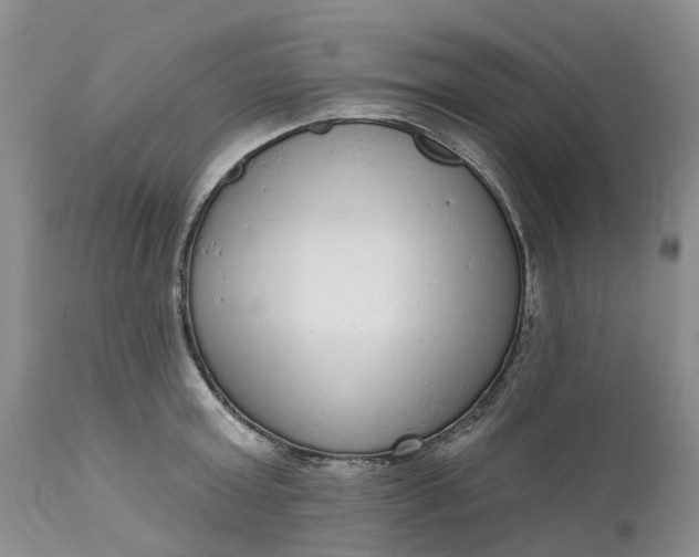 X0000111050803200907091632