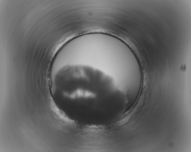 X0000111050806200907091632