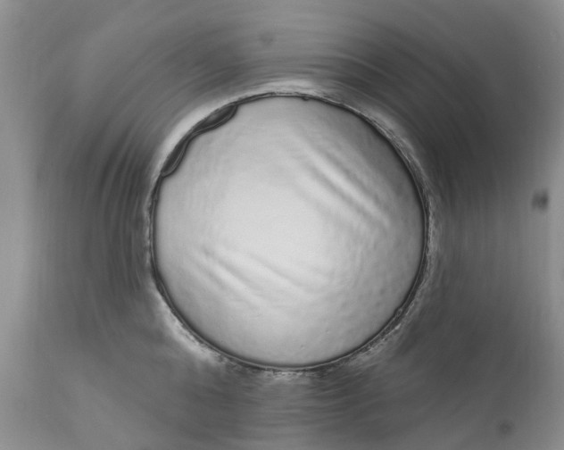 X0000111050808200907091632