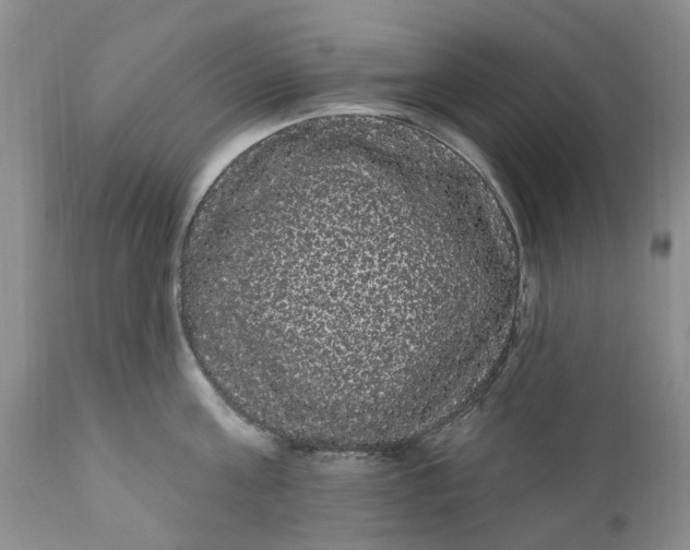 X0000111050811200907091632