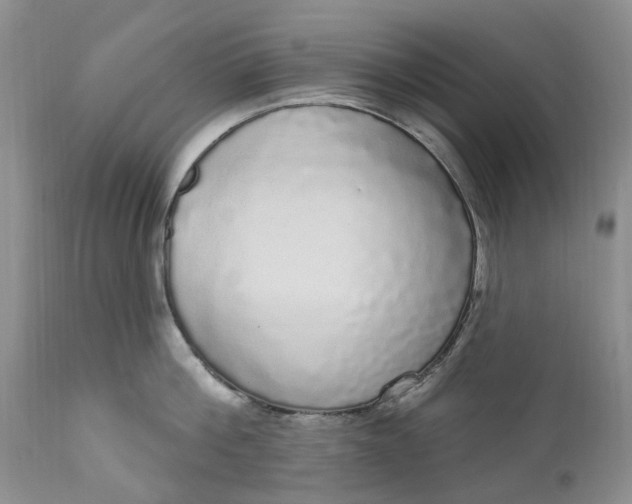 X0000111050812200907091632