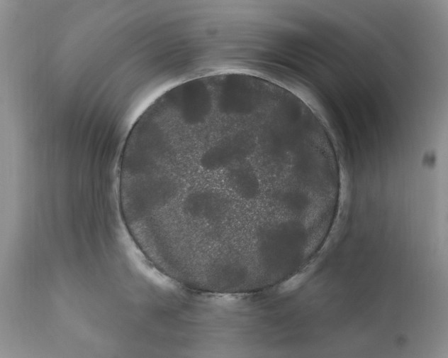 X0000111050814200907091632