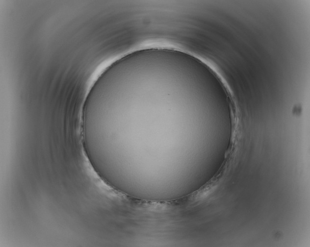 X0000111050815200907091632