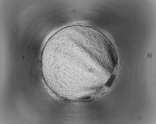 X0000111050816200907091632