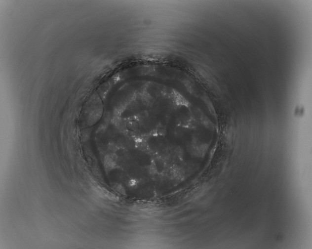 X0000111050817200907091631