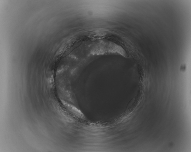 X0000111050818200907091631