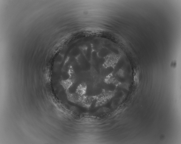 X0000111050819200907091631