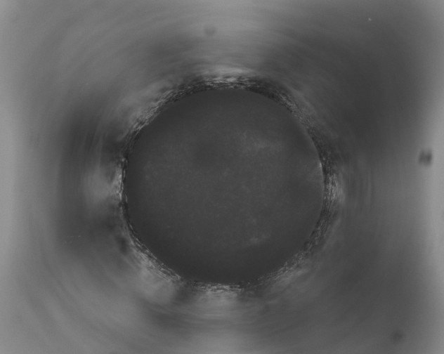 X0000111050820200907091631