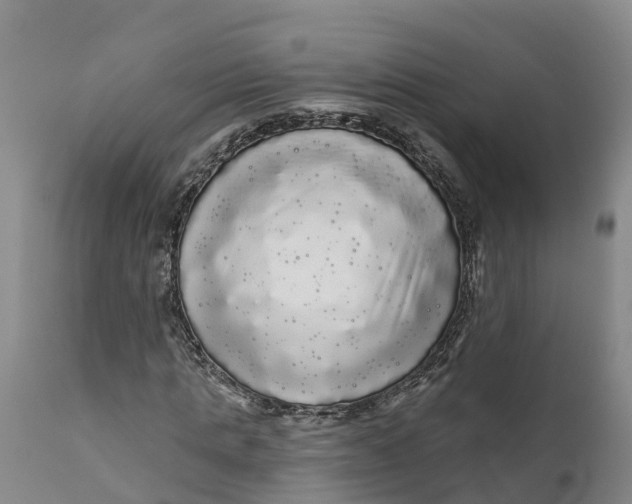 X0000111050821200907091631