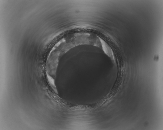 X0000111050822200907091631