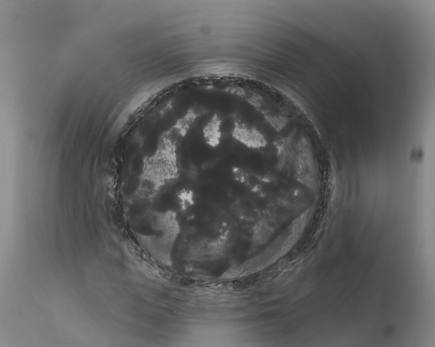 X0000111050823200907091631