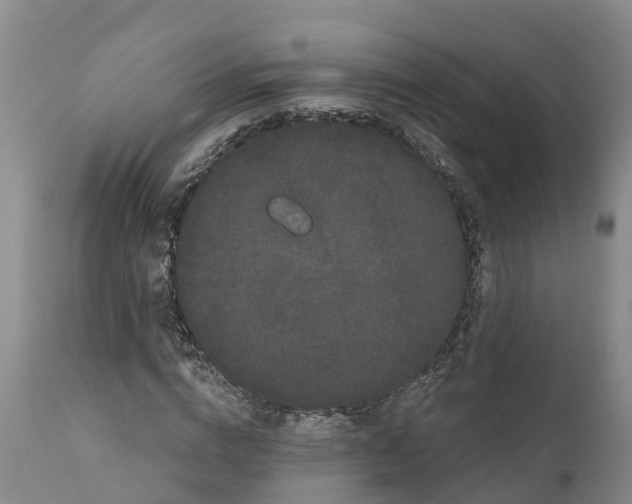 X0000111050824200907091631